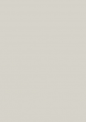 HPL Compact Fundermax 0741 IP/SX Birch Grey 12мм фото